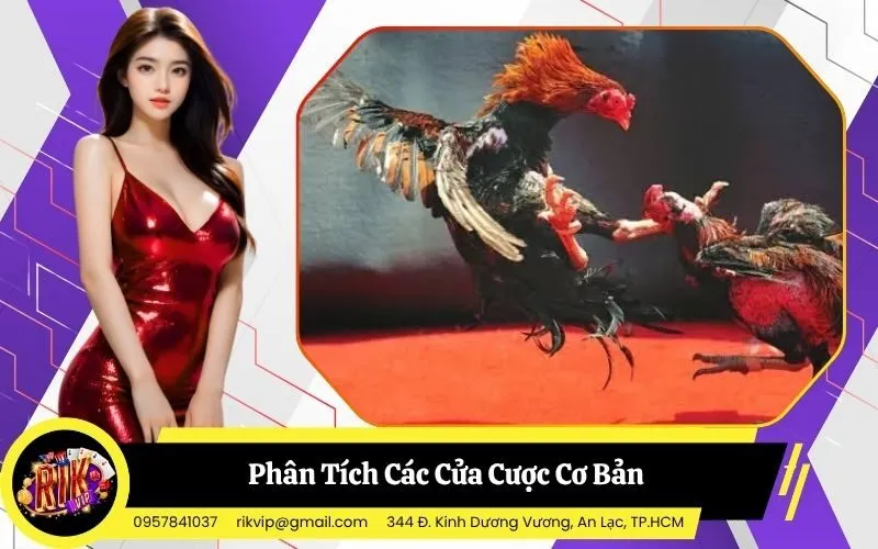 Chiến Thuật Phân Bổ Vốn Và Bắt Kèo Chớp Nhoáng