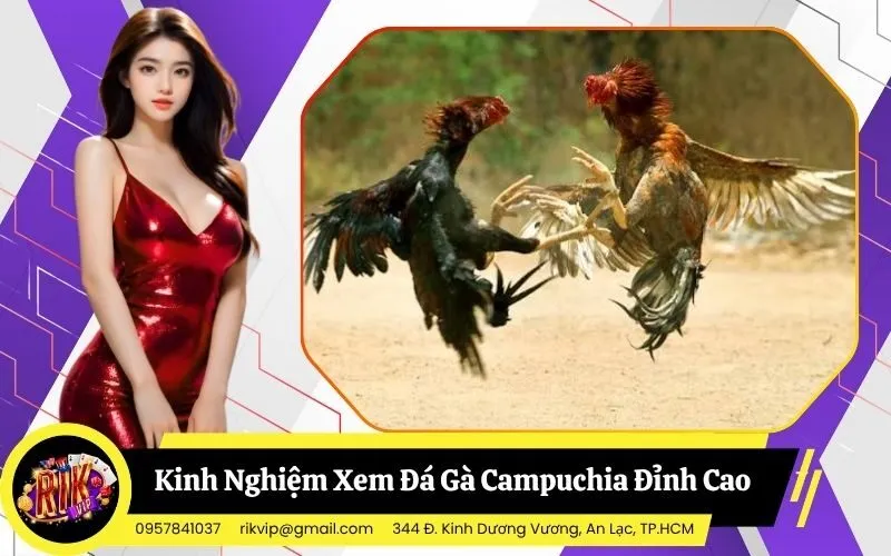 Đá Gà Campuchia
