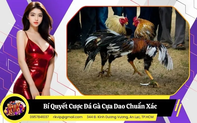 Đá Gà Cựa Dao