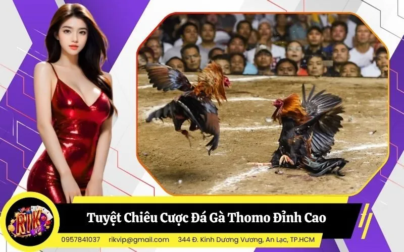 Đá Gà Thomo