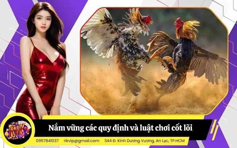 Nắm vững các quy định và luật chơi cốt lõi trên trường đấu chuyên nghiệp